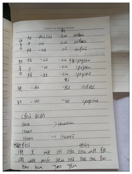 图片9_副本.png